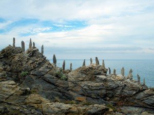 Cap Béar, Catalunya Nord.