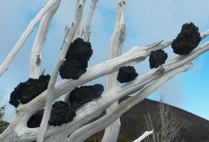 Etna